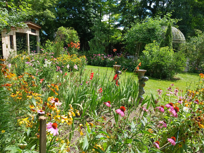 summer garden at full bloom