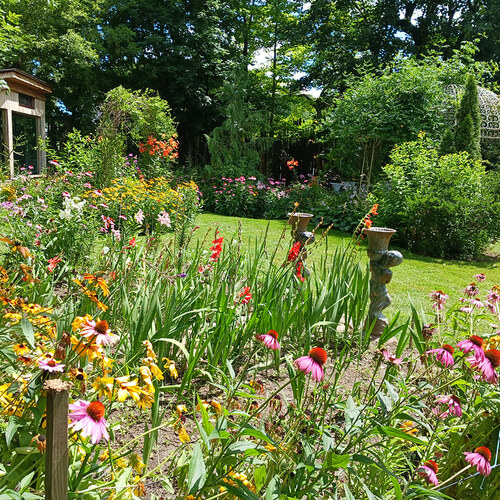 summer garden at full bloom