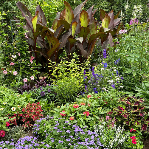 Hugh’s Long Flower Border Last Summer