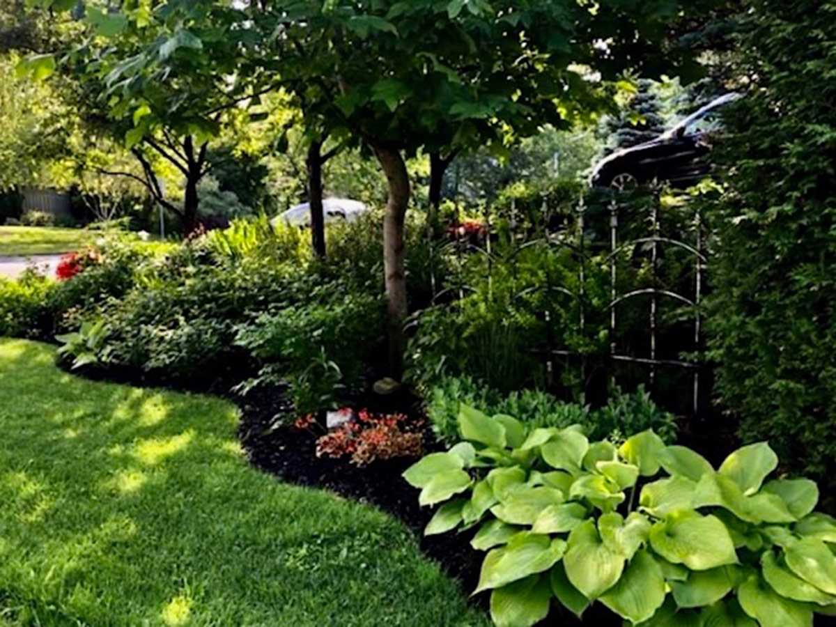 shaded garden bed in front yard