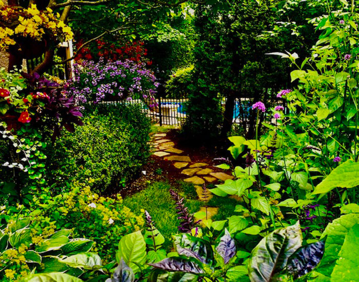 path cutting through garden to pool