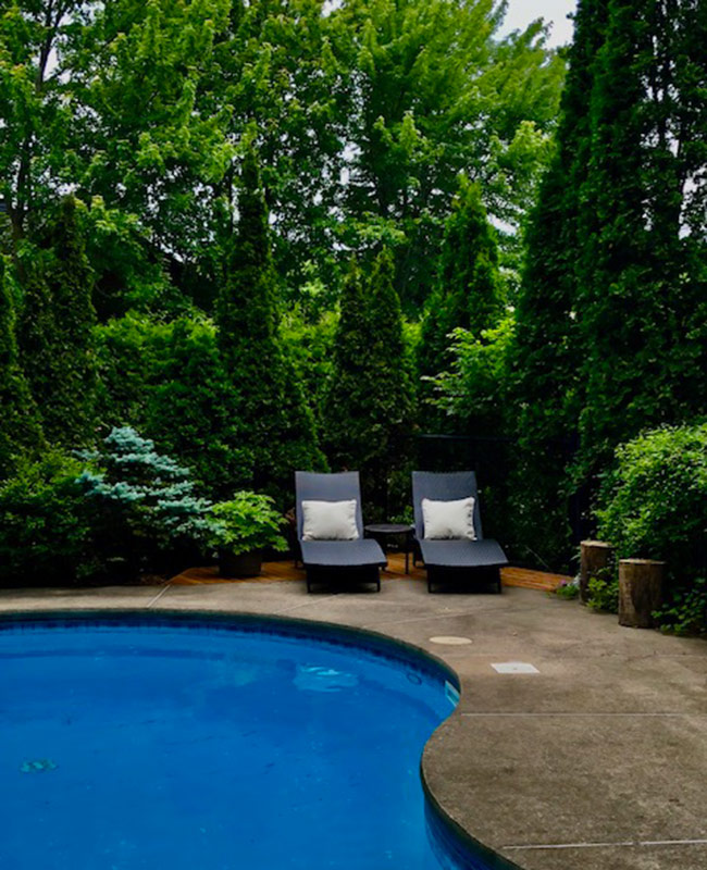 garden and small seating area on pool patio