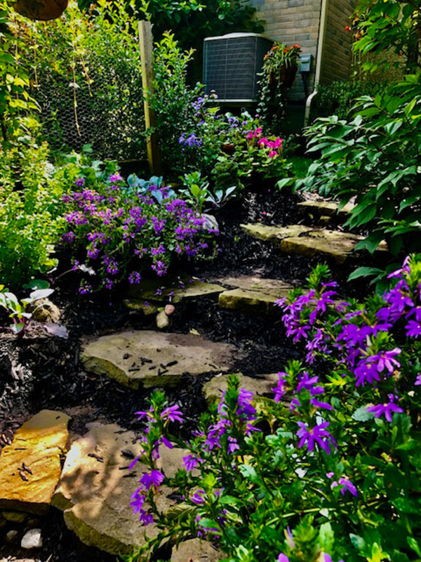 stepping stone stairs in vegetable garden