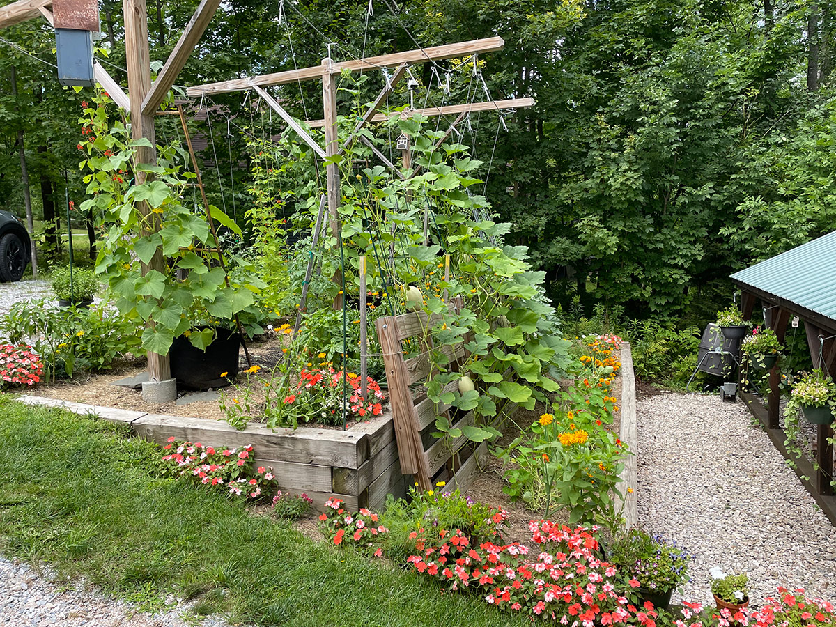 vegetable garden with flowers