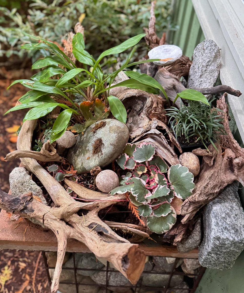 fern table container arrangement