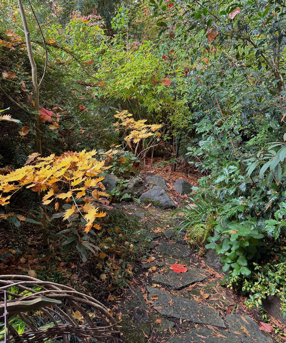 shady stepping stone garden path