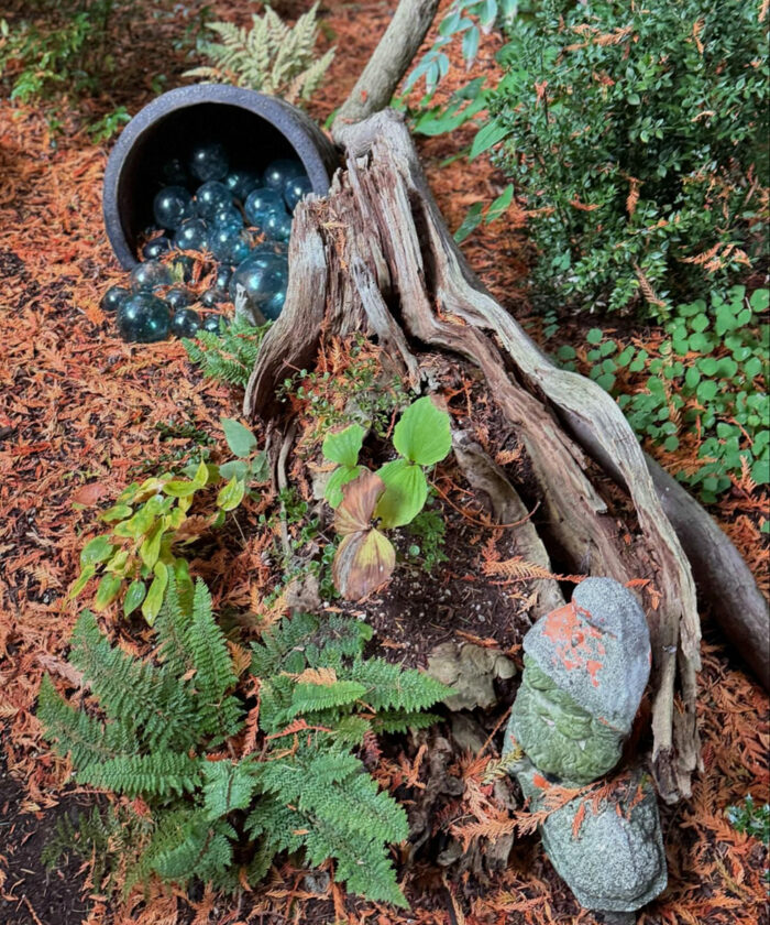 various foliage plants planted in an old tree stump