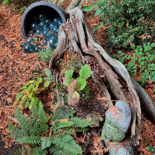 various foliage plants planted in an old tree stump