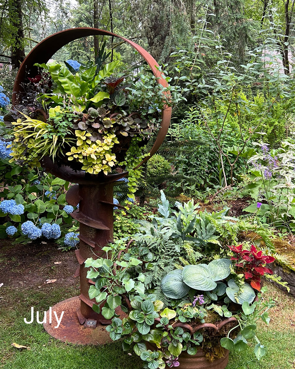 mature container plantings in July