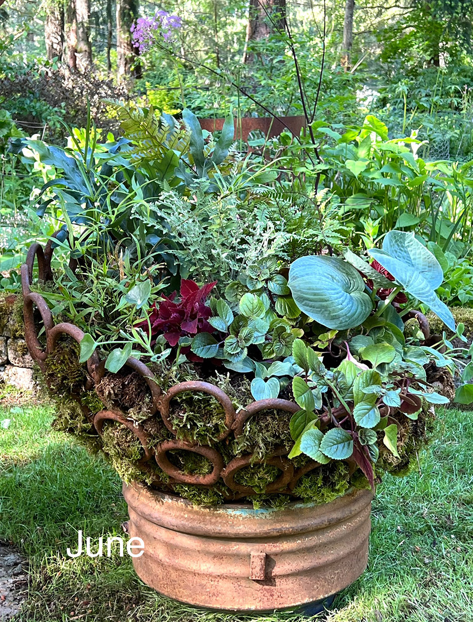 close up of bowl container in june