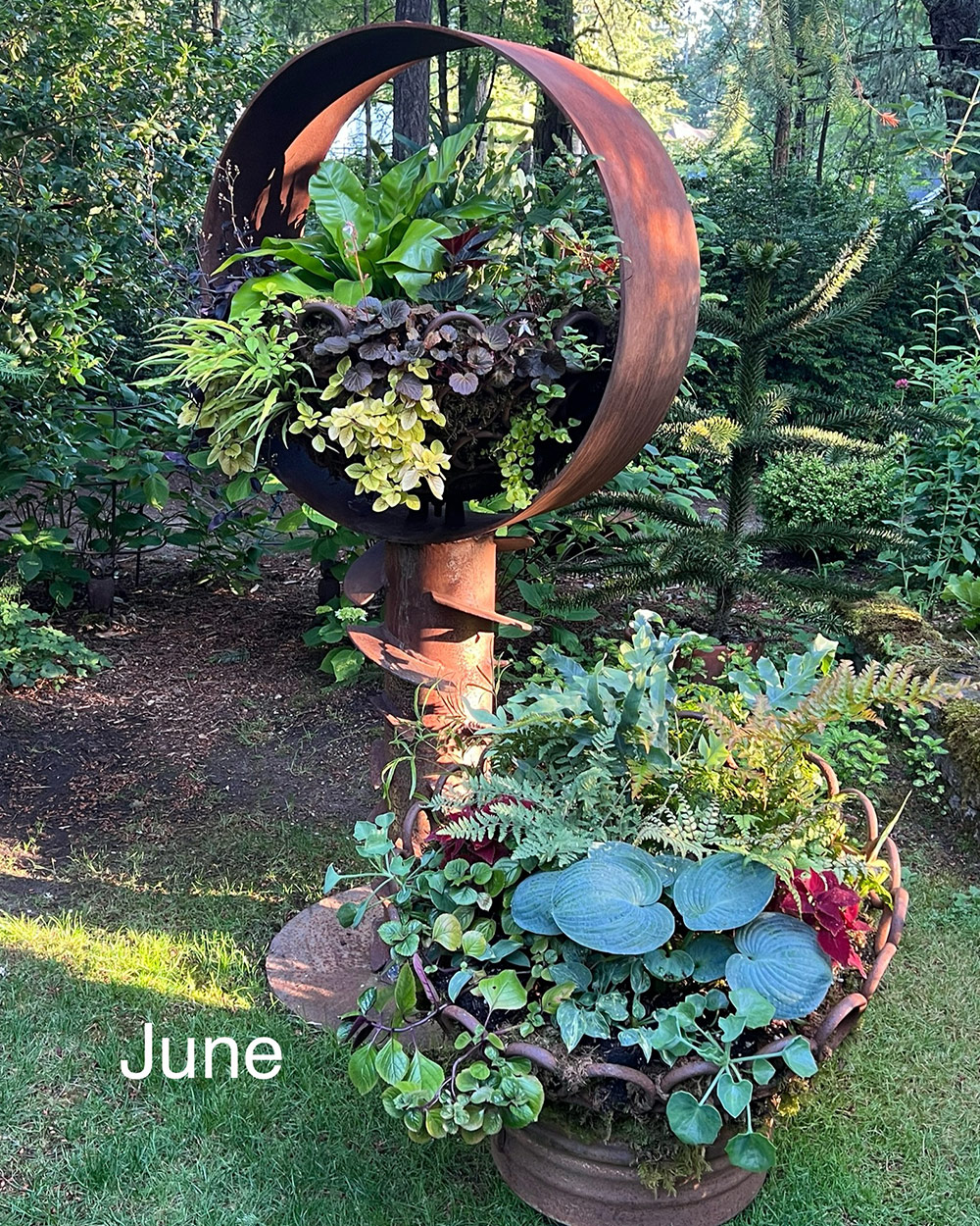 foliage container in june