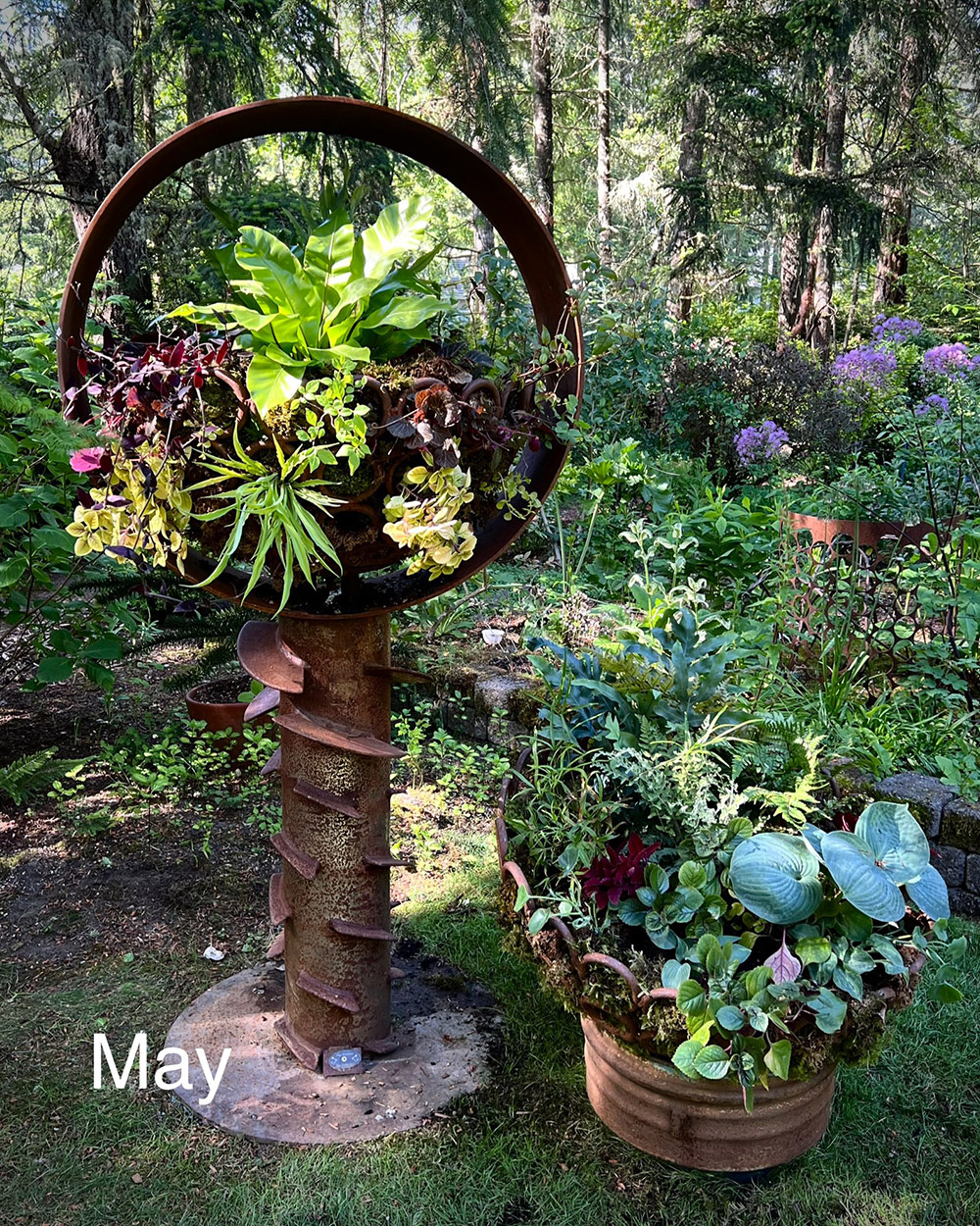 planted sculptural container in may