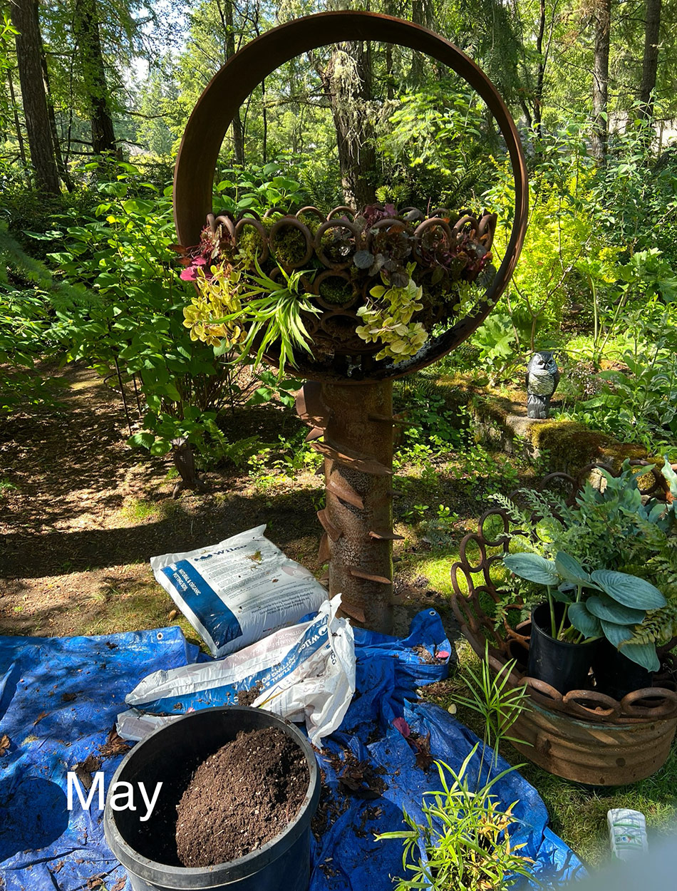 planting garden containers in may