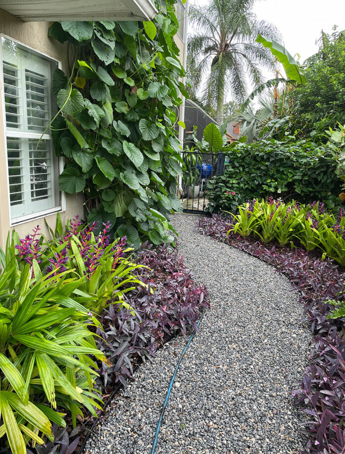 gravel path cutting through lush garden