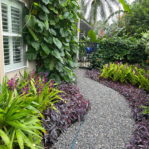 gravel path cutting through lush garden