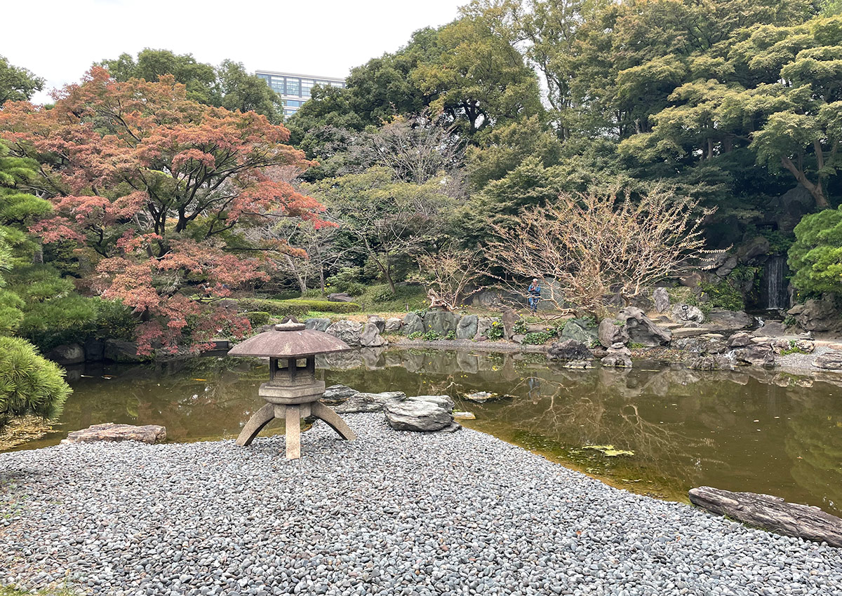 fall foliage in Japan