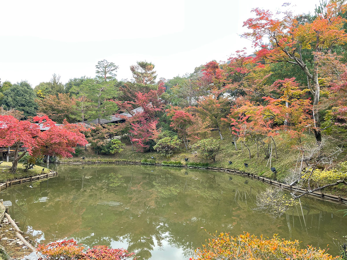 fall foliage around Kodaiji Temple