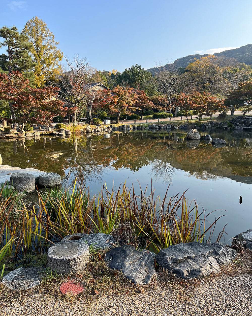 pond at Maruyama Park in Kyoto