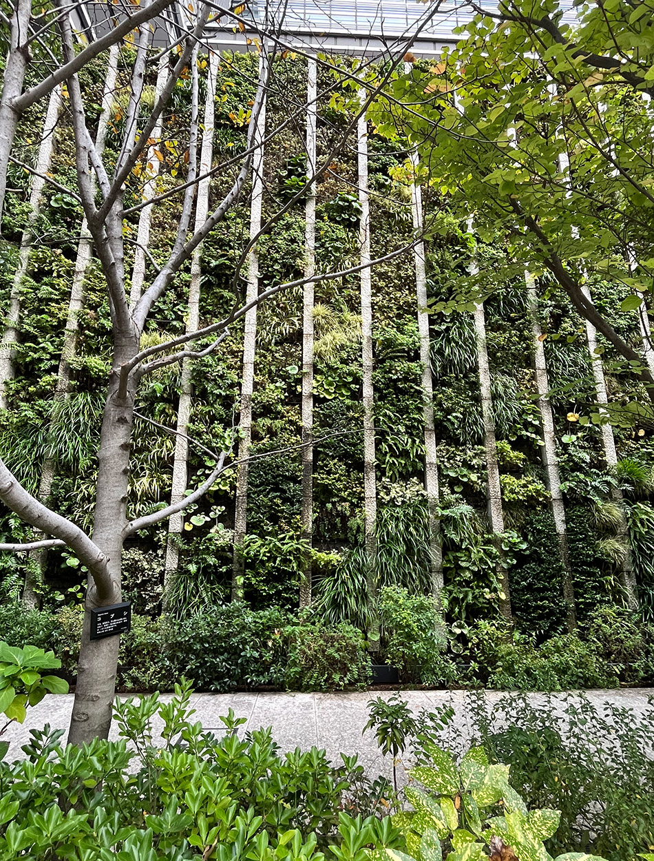 concrete wall full of living plants in Tokyo