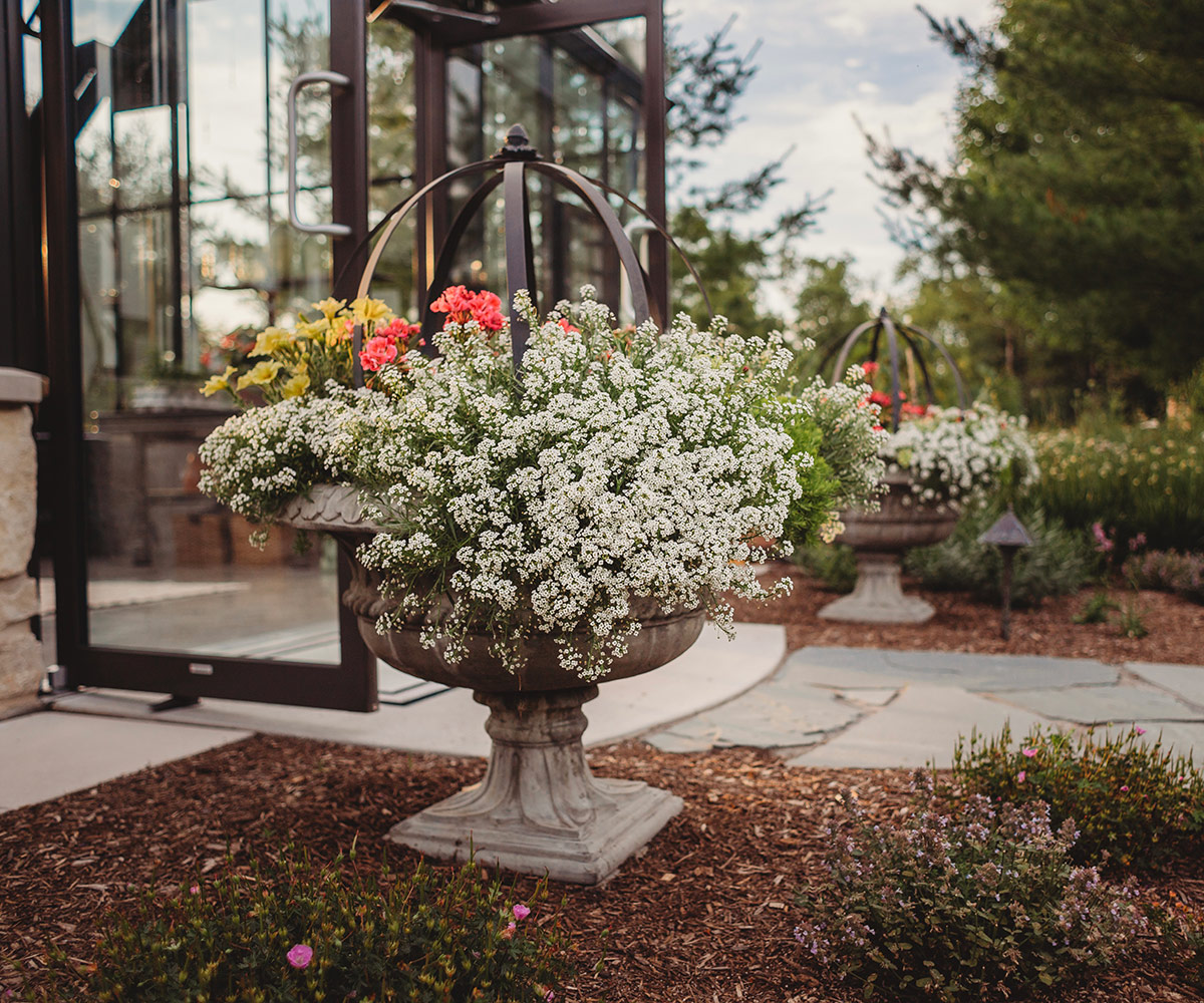 urn containers with white flowers in front of greenhouse