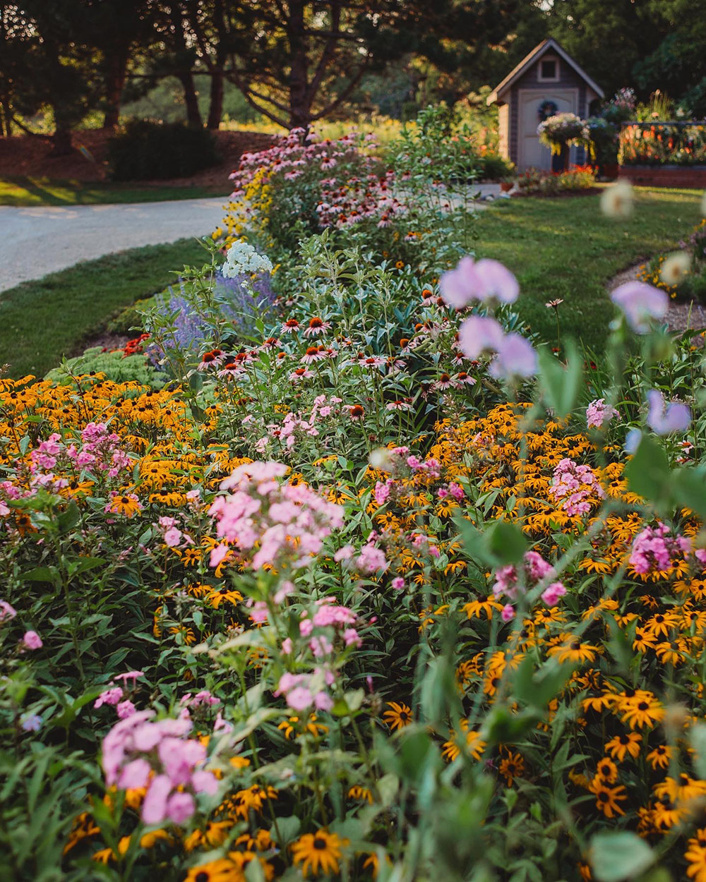 border garden bed full of colorful flowers