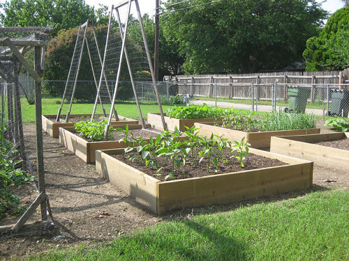 Raised Beds: Who Has a Cool Design? - FineGardening