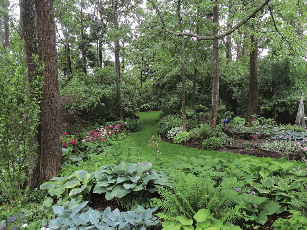 A Woodland Garden Design - Fine Gardening