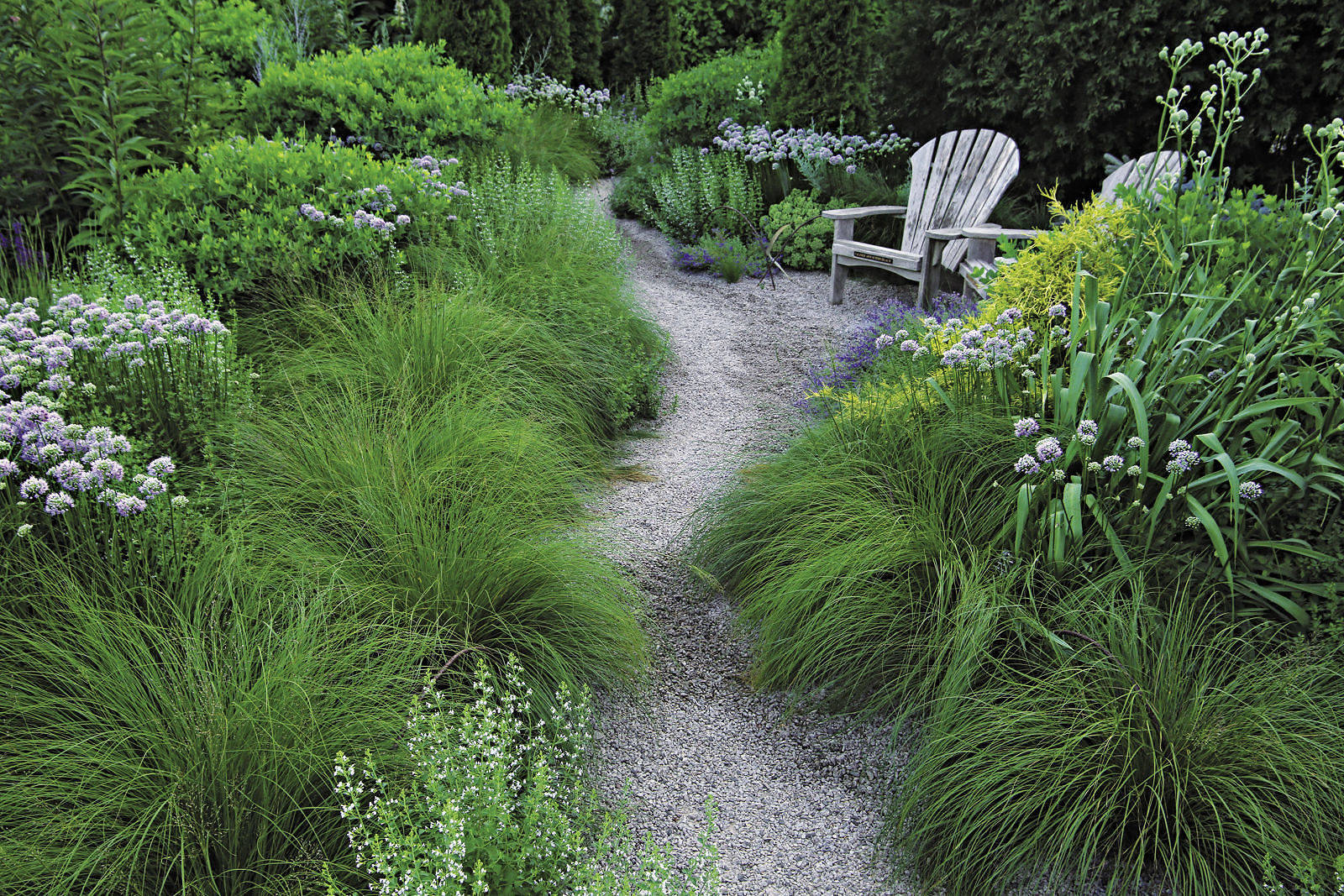 prairie dropseed