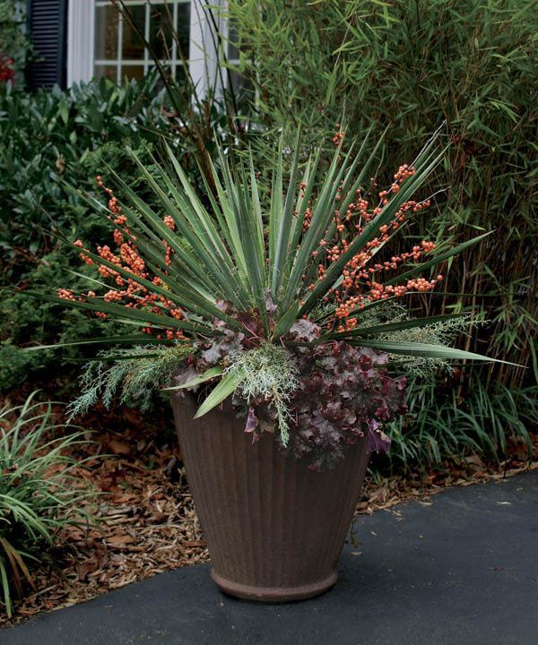 The Best Winter Containers From Outdoor Planters To Window Boxes