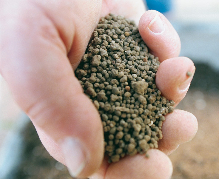 close up of hand holding potting mix with iron and trace elements