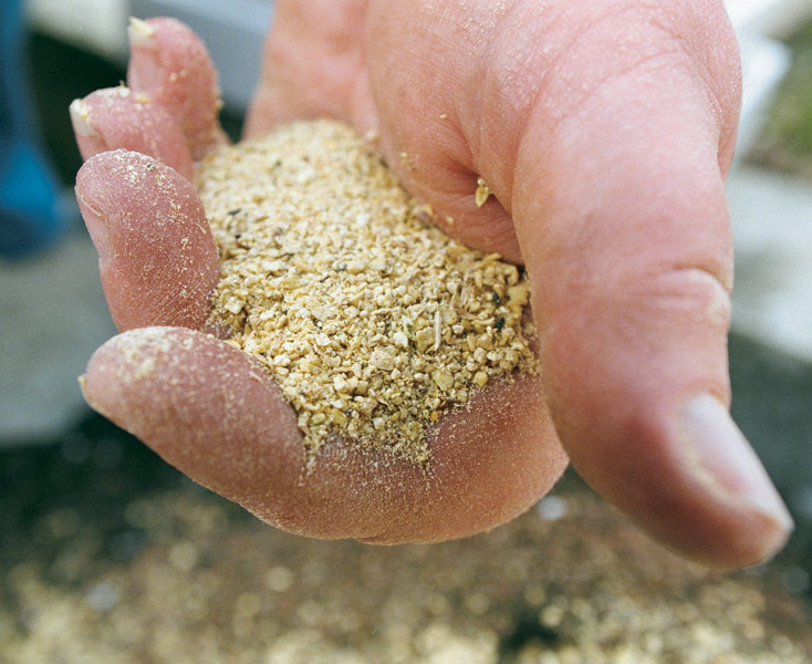 close up of hand holding soy meal