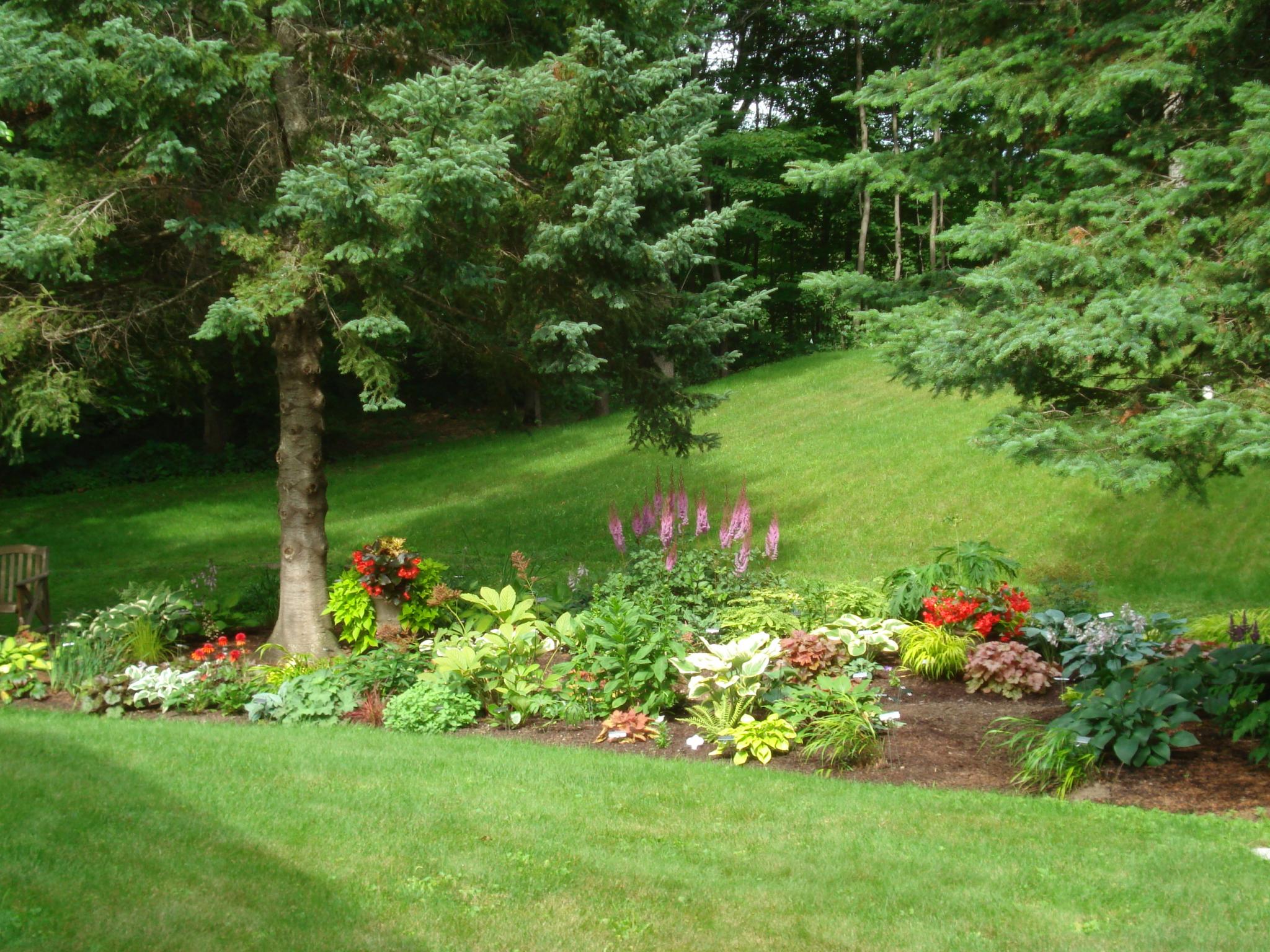 Revisiting Lynn s Garden In Wisconsin FineGardening