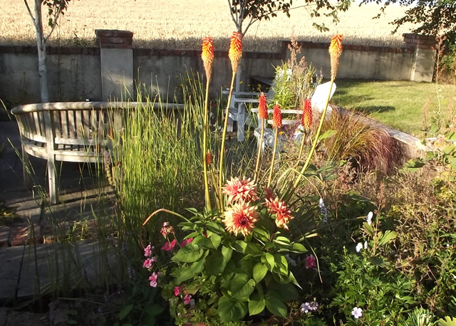 Tour of a Garden in Ireland - FineGardening