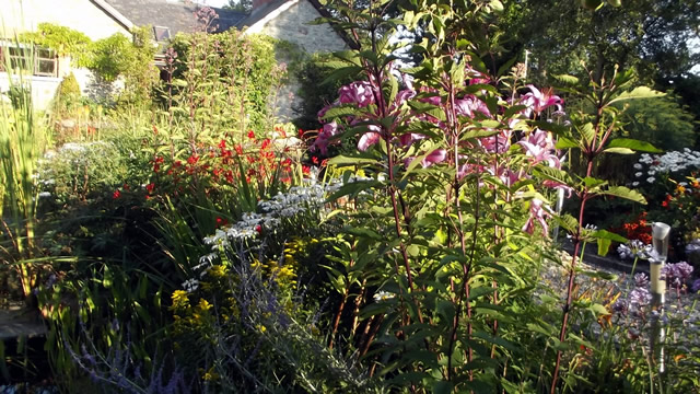 Tour of a Garden in Ireland - FineGardening