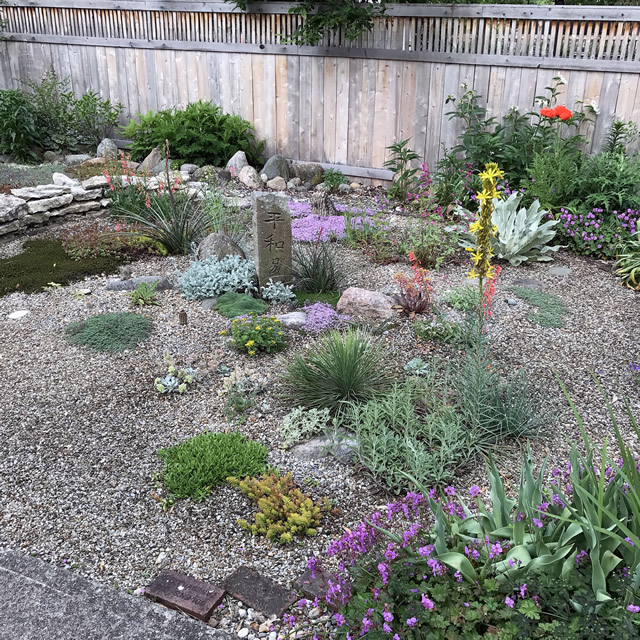 Surprises Amongst Gravel - FineGardening