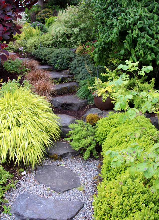 The Lushness of Early Summer - Fine Gardening