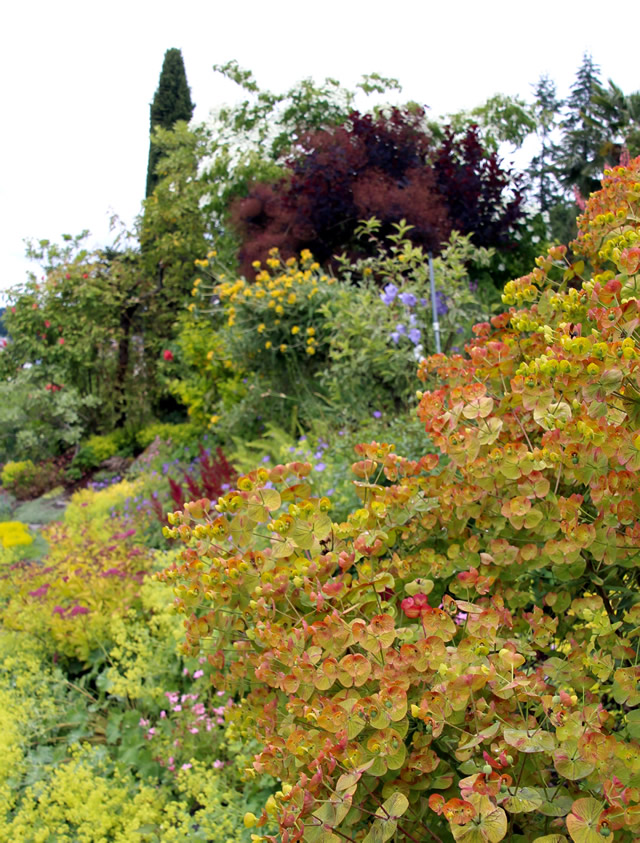 The Lushness of Early Summer - Fine Gardening