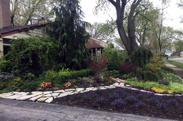 A Vibrant Chicago Spring - FineGardening