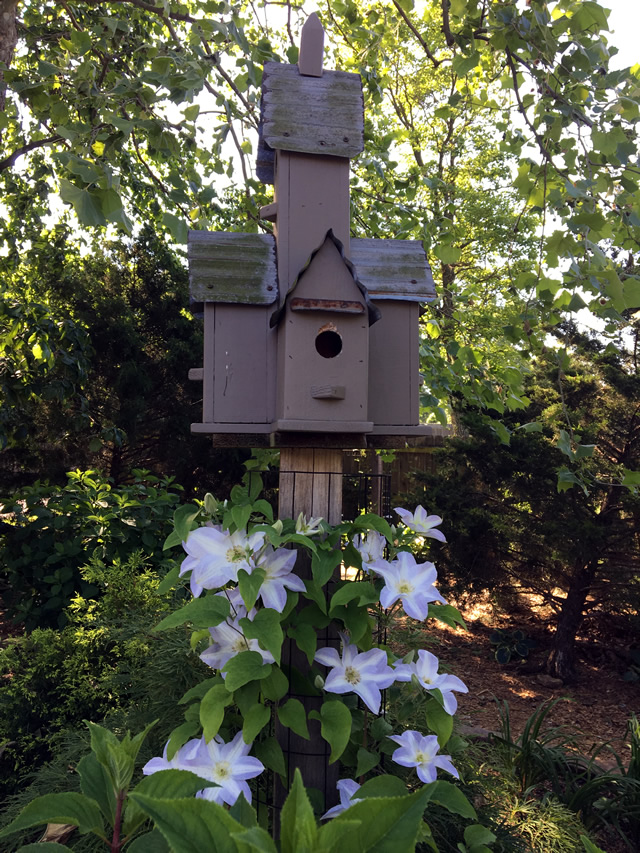 Yukikomachi around a birdhouse