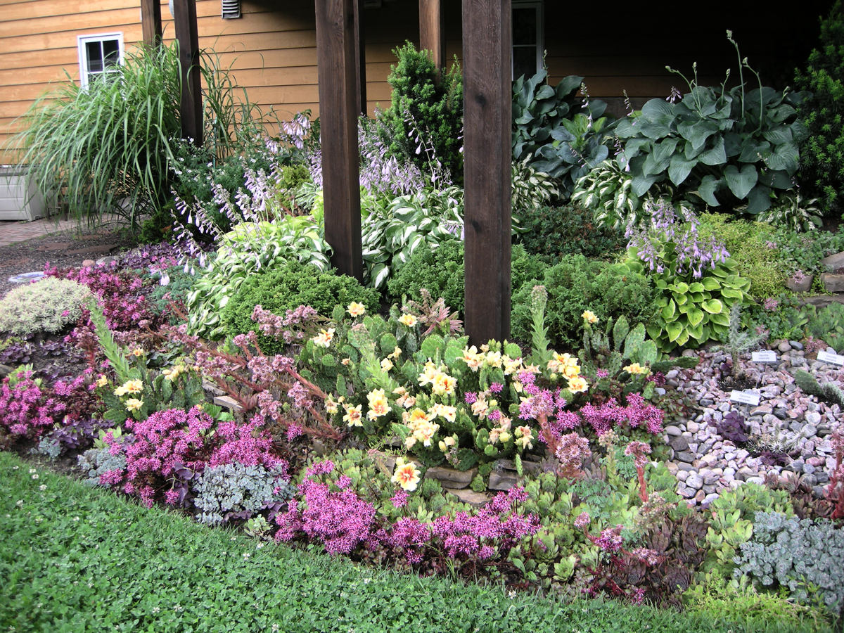 Lorraine's from-scratch garden in Ontario - FineGardening