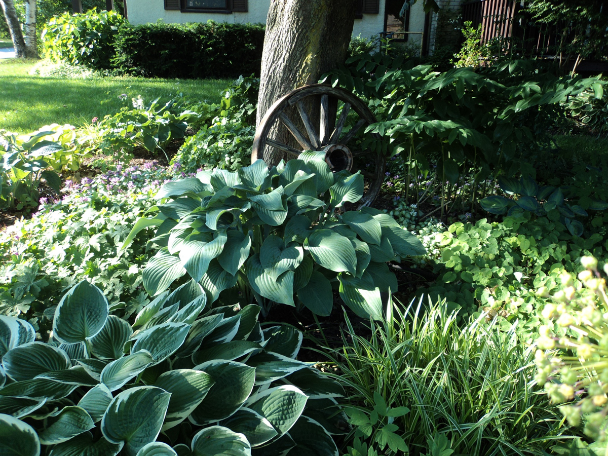 Teresa's garden in Ontario - FineGardening