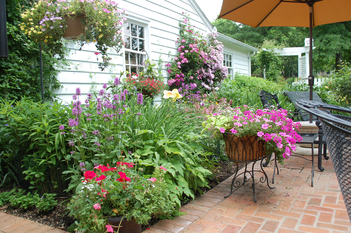 Katie's garden in Ohio, revisited - FineGardening