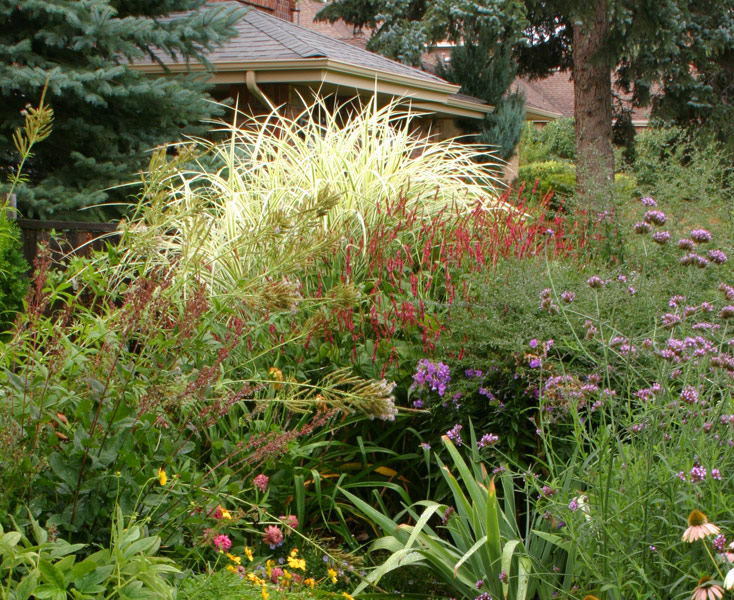 A Front-Yard Garden in No Time - FineGardening