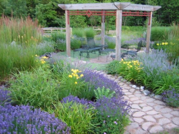 Lavender garden wins Backyard Garden Spaces contest 