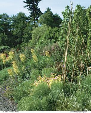 less fussy plants