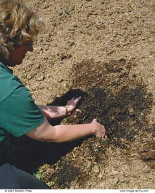 author with her hands in the soil