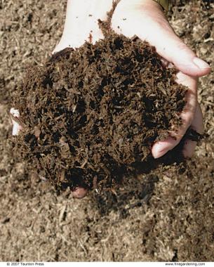 close up of hand holding compost over the soil