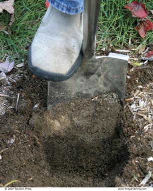 boot on a shovel starting to dig up soil