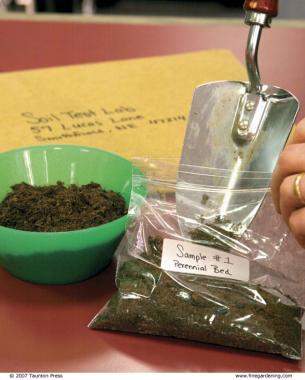 placing soil in a bag in preparation to mail off for testing