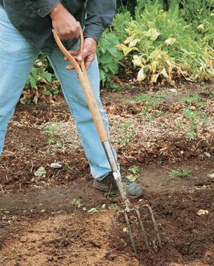 The D-handle garden fork is perfect for mixing in soil amendments like this fish meal.